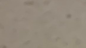 Obtén el sándwich de desayuno original por 63 centavos el 18 de noviembre, exclusivamente a través de la app de McDonald’s