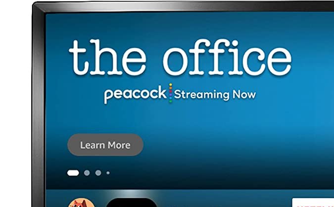 Televisor Insignia de 24 pulgadas