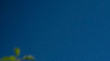 Artículos para el hogar, sistemas de relajación y productos para el cuidado personal tienen ofertas en Costco por Black Friday.