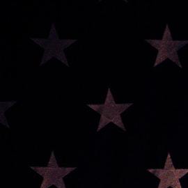 bandera ee.uu. con militar