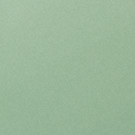 Mesa con píldoras para bajar de peso naturales