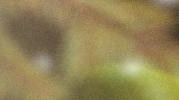 Mujer abrigada por invierno