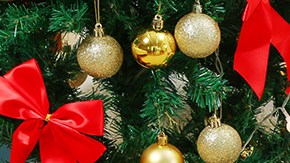 Christmas Lights Storage Bag Container