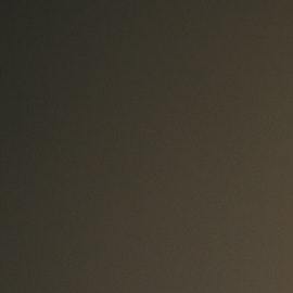 Persona comprando online