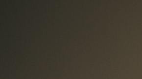 Persona comprando online