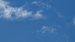 Omenaje a los Presidentes de los Estados Unidos