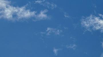 Omenaje a los Presidentes de los Estados Unidos