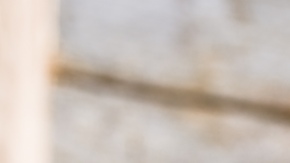 Vinagre de sidra de manzana