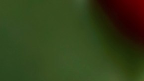 Bolsa de compra de Victoria's Secret