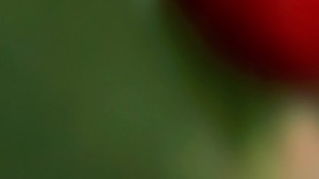 Bolsa de compra de Victoria's Secret