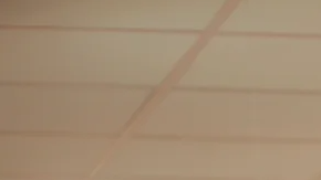 Cupones de descuentos de esta semana