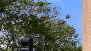 Descuentos de Ropa Nordstrom