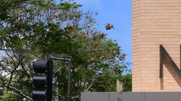 Descuentos de Ropa Nordstrom