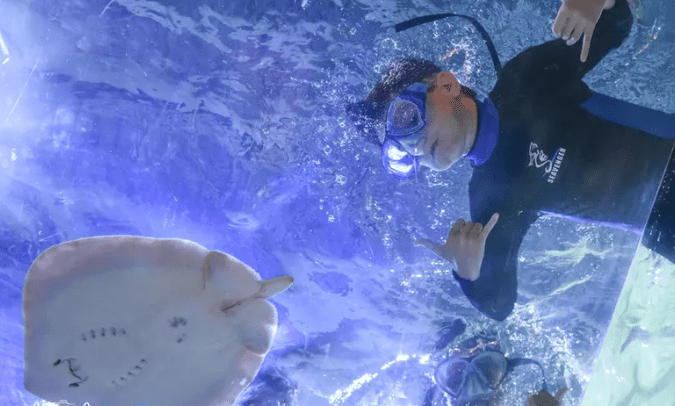 Entrada al acuario interactivo SeaQuest