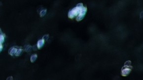 Tiendas con descuentos por Saldos de Inventario