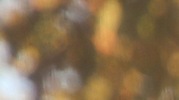 mujer llenando tanque de gasolina