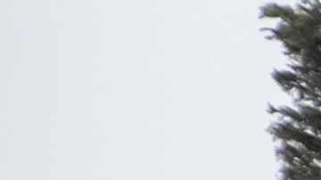 Trucos para hacerle mantenimiento al auto en Costco