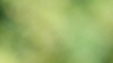 Mes del Orgullo LGBTQ+