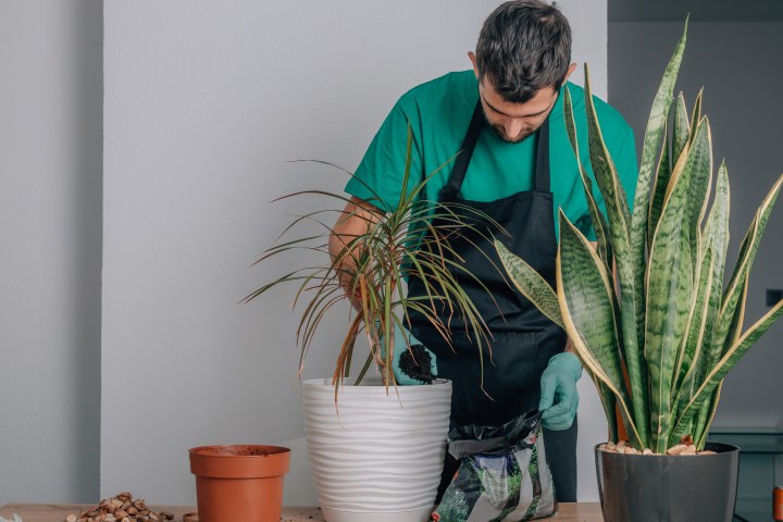 La decoración sostenible busca reducir el impacto en el planeta de la fabricación de muebles y objetos.