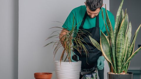 La decoración sostenible busca reducir el impacto en el planeta de la fabricación de muebles y objetos.
