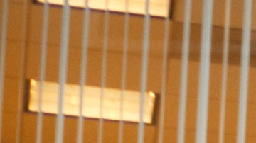 Descuentos en Televisores en Best Buy