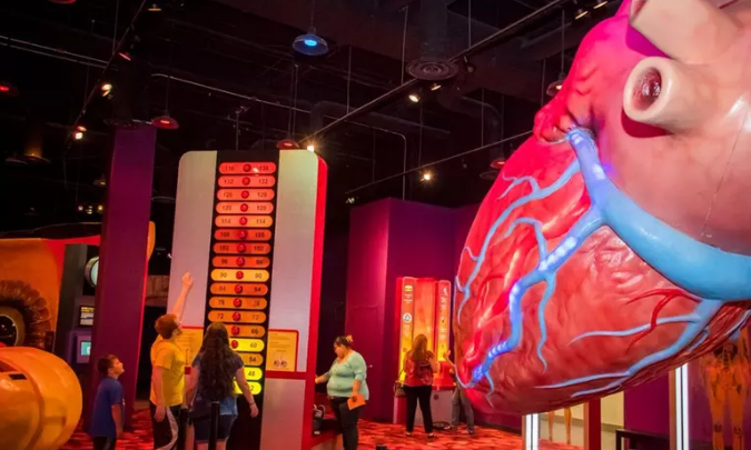 Pase por un día al museo de Houston