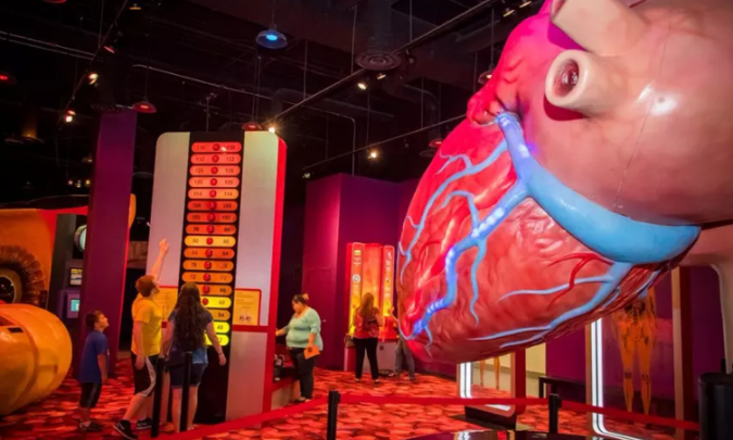 Pase por un día al museo de Houston