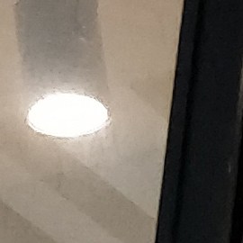 Prendas de vestir económicas Champion