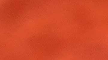 Descuentos especiales en el mes de Agosto