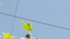 Descuentos en ropa de dama en Nordstrom