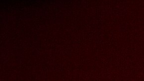 Mes de la Herencia Hispana en USA