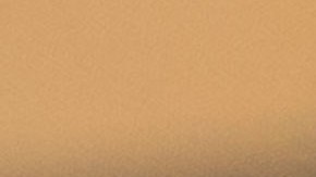 Marcas que se suman al Mes de la Herencia Hispana en USA