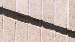 Prendas de vestir con tematica de otoño en Nordstrom con descuento