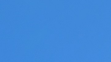 descuentos por Black Friday en Macy's en prendas de ropa, calzado y el hogar