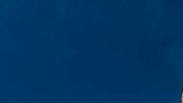 Los mejores opciones para regalar en Target por menos de $20