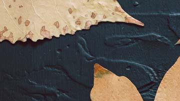 Consejos de compra para el mes de noviembre