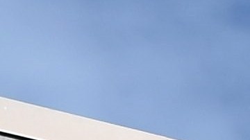 Platillos de comida que te servirán para organizar tu cena de Acción de Gracias en Costco