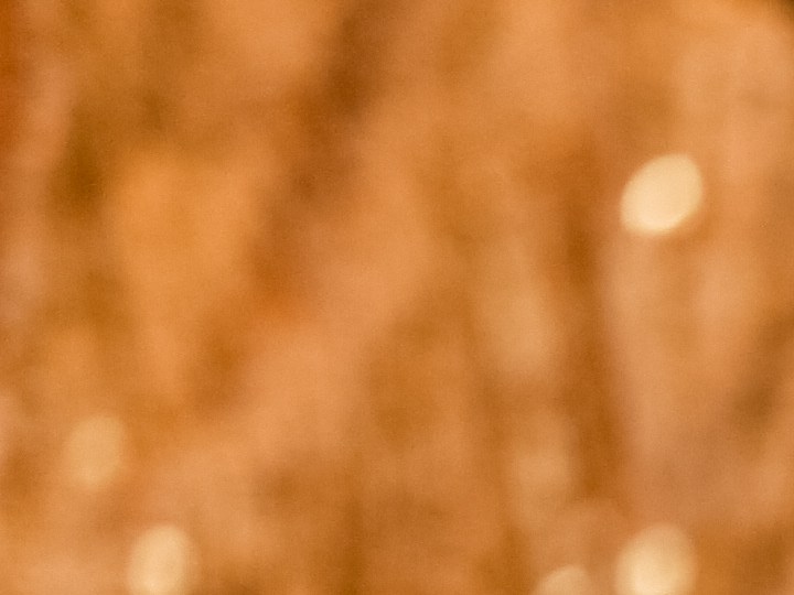 brindis de año nuevo