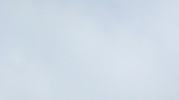 Productos con descuentos en Costco hasta el Día de Navidad