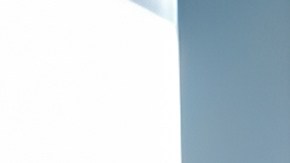 Consigue regalos para tus mascotas por menos de $20