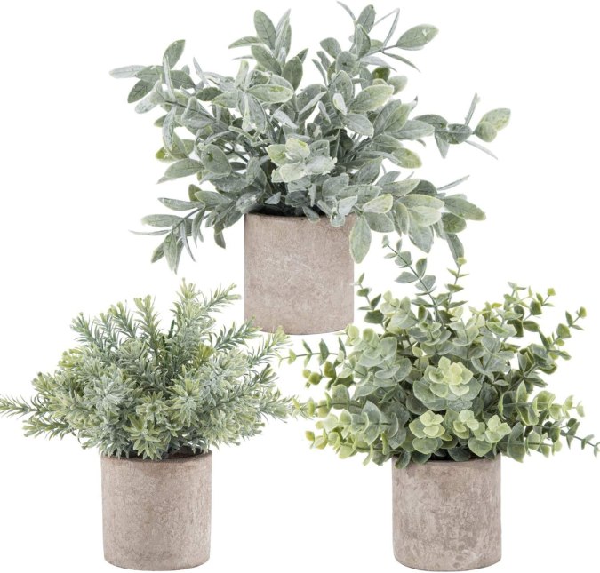 Juego de plantas decorativas artificiales Der Rose