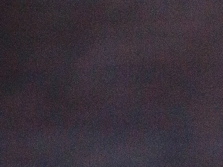 tiktok app