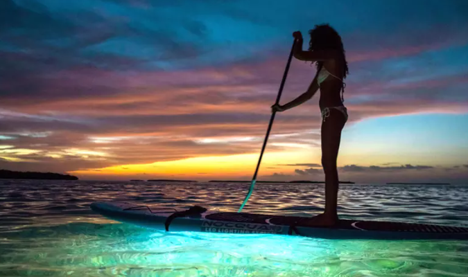 Practica Paddleboard en las playas de Miami