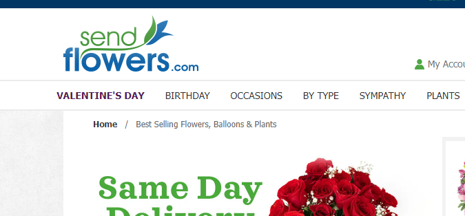 servicio de floristería