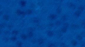 Conoce el truco que te permitirá ahorrar dinero en Amazon al comprar productos P&G