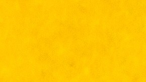 Aprochecha el maquillaje de edicion especial de Fenty Beauty