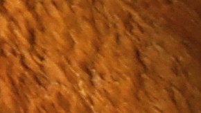 Empieza a utilizar los productos de skin care en maquillaje que tiene disponible Amazon