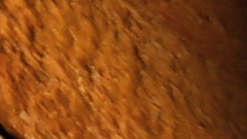 Empieza a utilizar los productos de skin care en maquillaje que tiene disponible Amazon