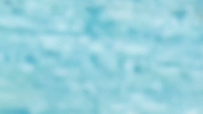 Conoce que categoria de productos son las más recomendadas para comprar en Marzo