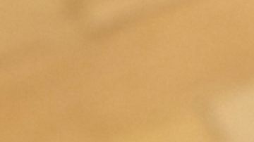 bolsas con comida en el suelo